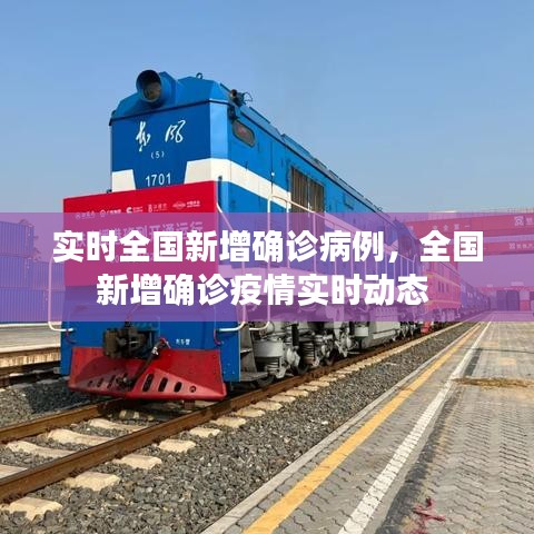 实时全国新增确诊病例,全国新增确诊疫情实时动态