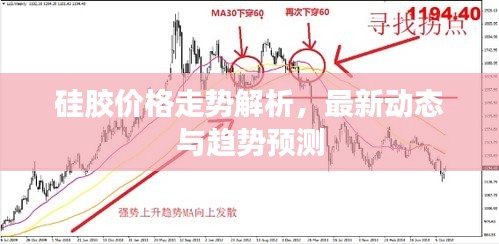硅胶价格走势解析,最新动态与趋势预测