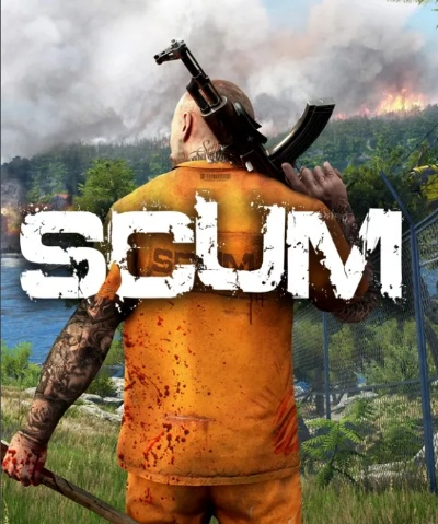 成语游戏怎么激活码或scum荒野求生单机版,创新方案设计-专业款1_v7.565