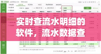 实时查流水明细的软件，流水数据查询 