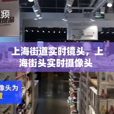 博古通今 第6页