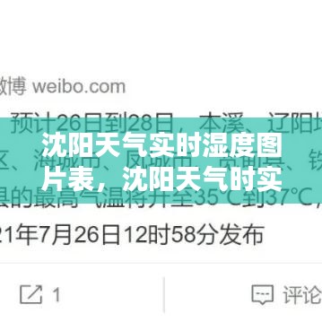 按部就班 第4页