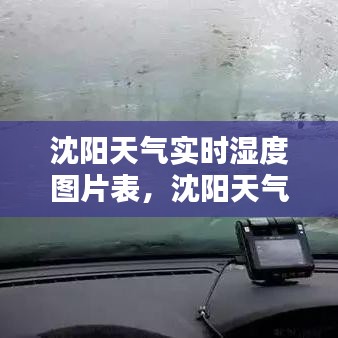 沈阳天气实时湿度图片表,沈阳天气时实预报