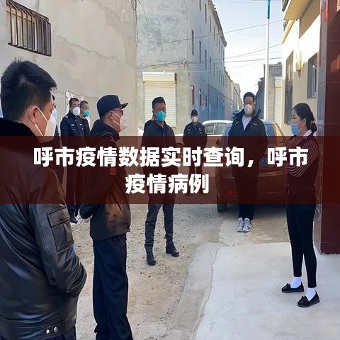 呼市疫情数据实时查询,呼市疫情病例