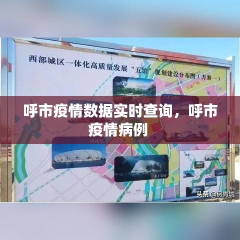 呼市疫情数据实时查询,呼市疫情病例