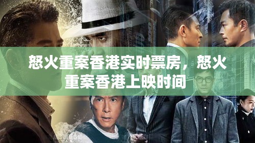 怒火重案香港实时票房,怒火重案香港上映时间