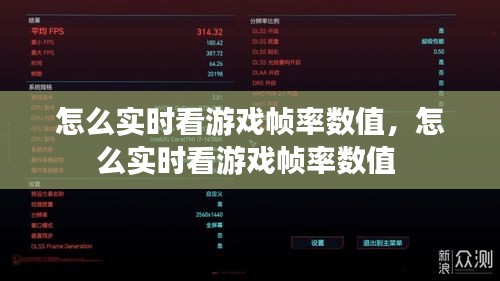 怎么实时看游戏帧率数值,怎么实时看游戏帧率数值