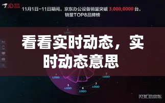 看看实时动态,实时动态意思