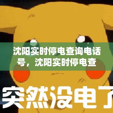 沈阳实时停电查询电话号,沈阳实时停电查询电话号是多少