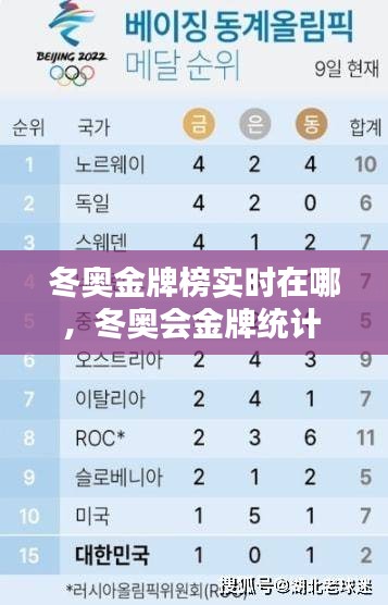 冬奥金牌榜实时在哪,冬奥会金牌统计