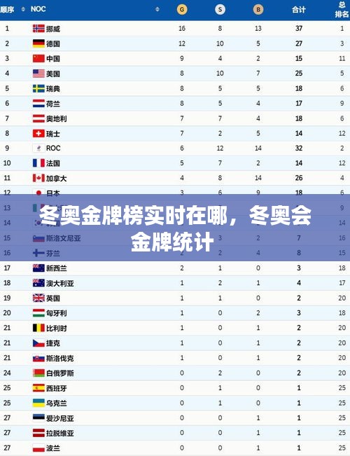 冬奥金牌榜实时在哪,冬奥会金牌统计