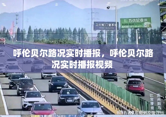 呼伦贝尔路况实时播报,呼伦贝尔路况实时播报视频