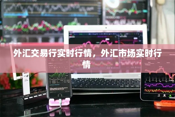 外汇交易行实时行情,外汇市场实时行情