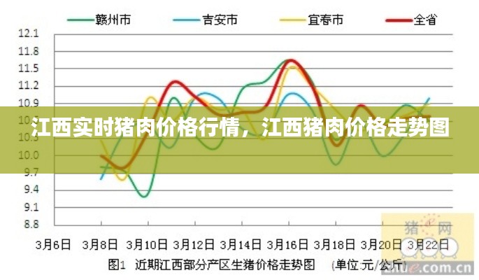 江西实时猪肉价格行情,江西猪肉价格走势图