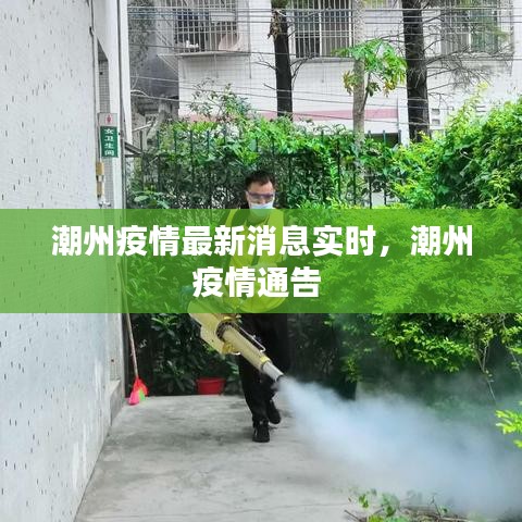 潮州疫情最新消息实时,潮州疫情通告