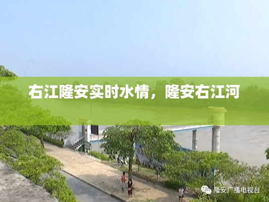 右江隆安实时水情,隆安右江河
