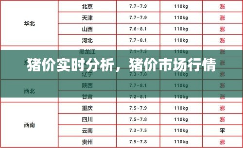 猪价实时分析,猪价市场行情