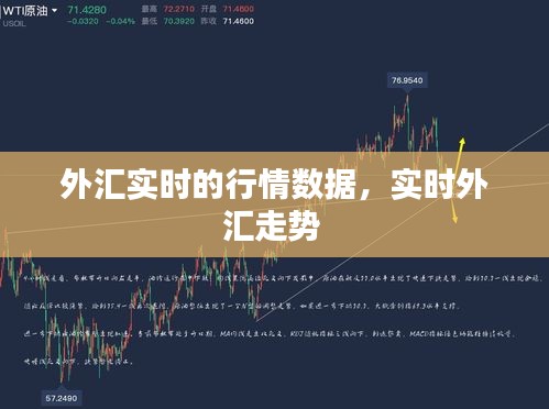 外汇实时的行情数据,实时外汇走势