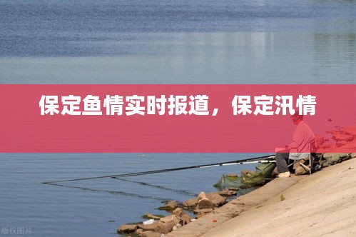 保定鱼情实时报道,保定汛情