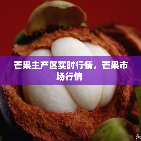 芒果主产区实时行情,芒果市场行情