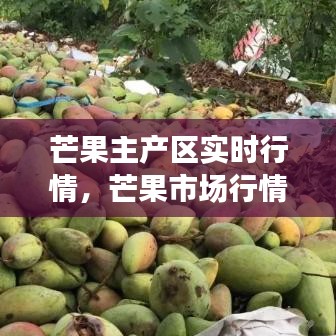 芒果主产区实时行情,芒果市场行情