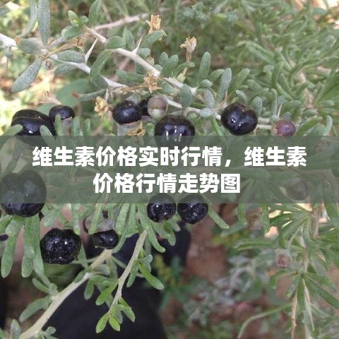 维生素价格实时行情,维生素价格行情走势图