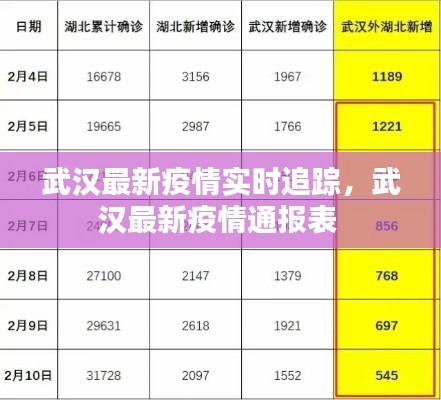 武汉最新疫情实时追踪,武汉最新疫情通报表