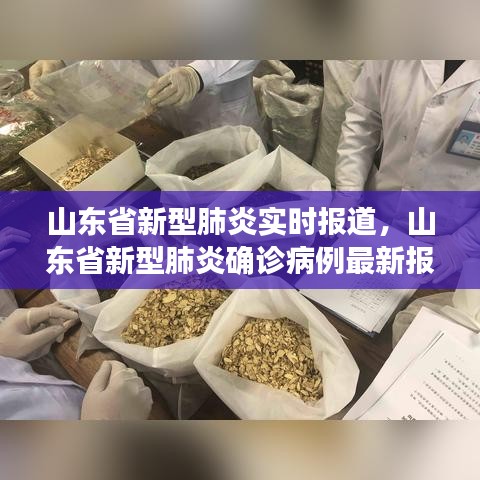 山东省新型肺炎实时报道,山东省新型肺炎确诊病例最新报道