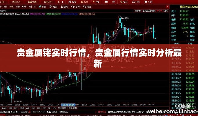 贵金属铑实时行情,贵金属行情实时分析最新