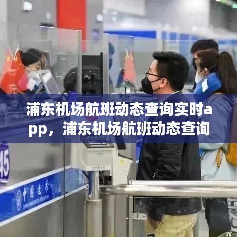 浦东机场航班动态查询实时app,浦东机场航班动态查询实时信息查询官网