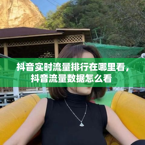 抖音实时流量排行在哪里看,抖音流量数据怎么看