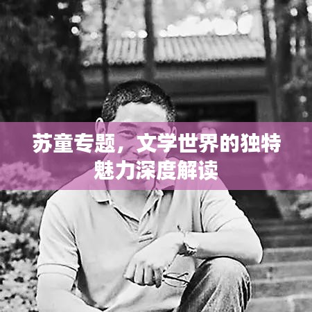 苏童专题,文学世界的独特魅力深度解读
