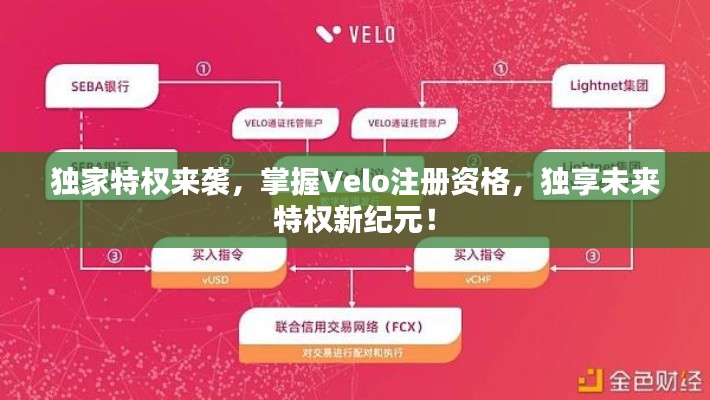 独家特权来袭,掌握Velo注册资格,独享未来特权新纪元!
