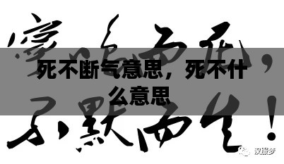 死不断气意思,死不什么意思