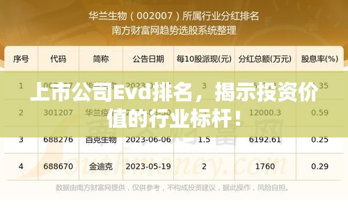 上市公司Evd排名,揭示投资价值的行业标杆!