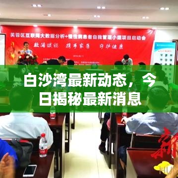 白沙湾最新动态,今日揭秘最新消息