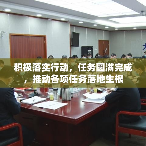 积极落实行动,任务圆满完成,推动各项任务落地生根