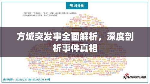 方城突发事全面解析，深度剖析事件真相