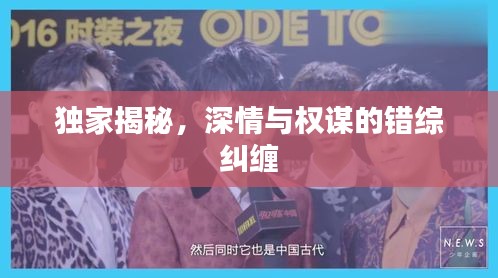 独家揭秘，深情与权谋的错综纠缠