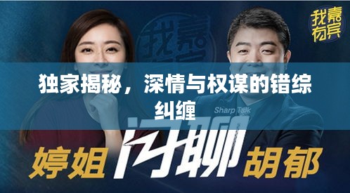 独家揭秘,深情与权谋的错综纠缠