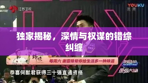 独家揭秘,深情与权谋的错综纠缠