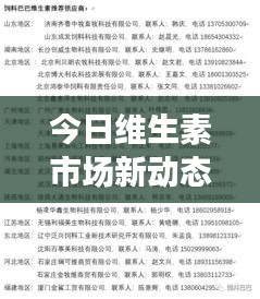 今日维生素市场新动态，引领健康潮流风向标