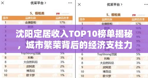 沈阳定居收入TOP10榜单揭秘，城市繁荣背后的经济支柱力量