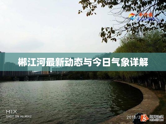 郴江河最新动态与今日气象详解