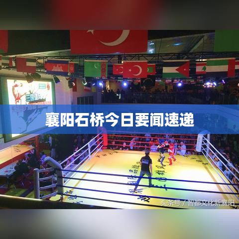 襄阳石桥今日要闻速递