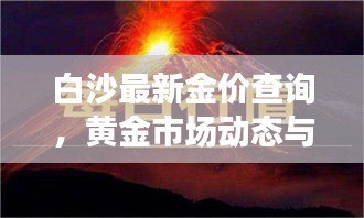 白沙最新金价查询,黄金市场动态与趋势深度解析