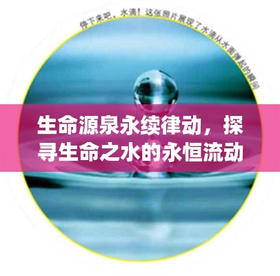 生命源泉永续律动,探寻生命之水的永恒流动