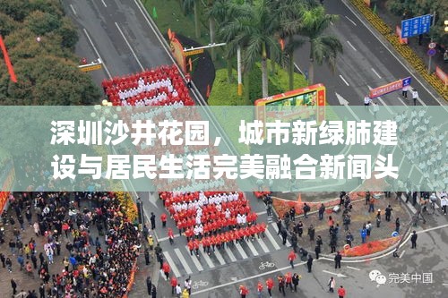 深圳沙井花园，城市新绿肺建设与居民生活完美融合新闻头条