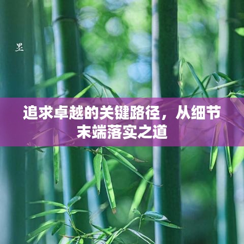 追求卓越的关键路径,从细节末端落实之道