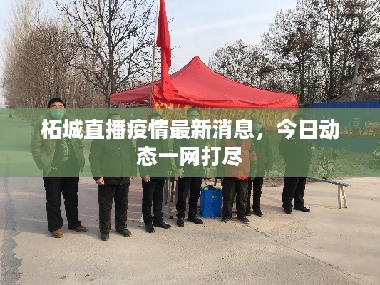 柘城直播疫情最新消息，今日动态一网打尽